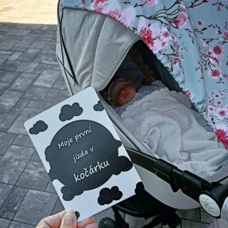 Milníkové kartičky #milnikovekarticky #milnik #baby #babygirl #miminko #love #holčička #kocarek #pastelldecor...