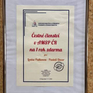 2. místo!!!!! 💪🍀🎂 Ve čtvrtek 7.11. se v pražském hotelu Ambasador vyhlašovaly ceny eŽena roku 2024 pod záštitou @amsp_cr...